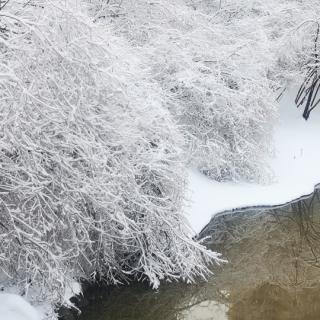 《陽明先生年譜》五