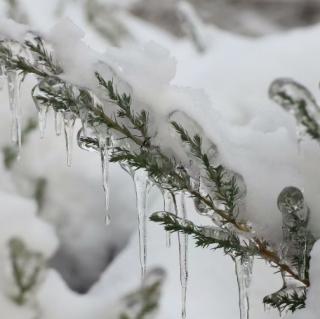 邂逅天津的第一场雪