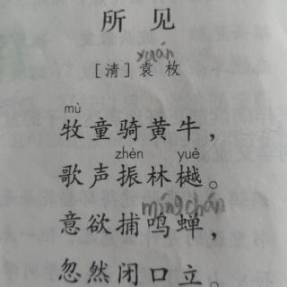 古诗所见