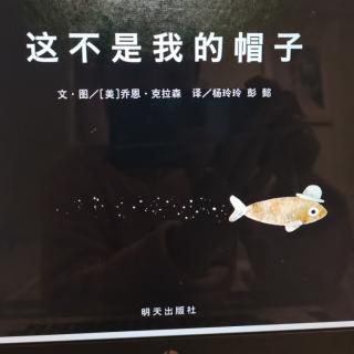 这不是我的帽子