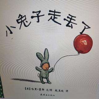 小兔子走丢了