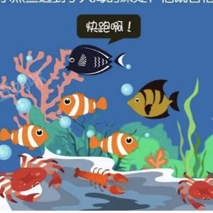 十街幼儿园园长妈妈睡前故事200《爱动脑筋的小黑鱼🐟》