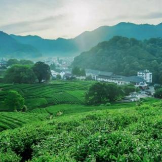 《生命就是一趟从沉睡到醒来的旅程》