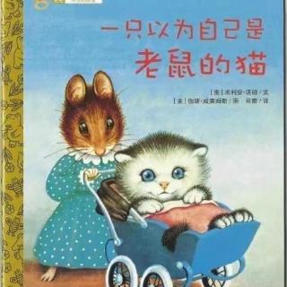 20211118绘本故事《一只以为自己是老鼠的猫》主播-晓慧老师