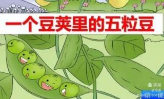 《一个豌豆荚里的五粒豌豆》