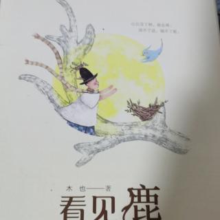 《看见鹿》蜥蜴的画  小刺猬的帽子店 猫婆婆的幸福