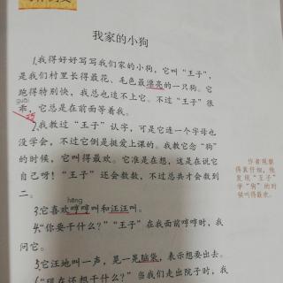 《我家的小狗》《我爱故乡的杨梅》