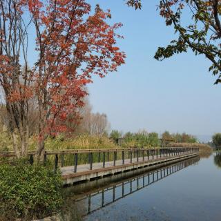 晏几道|鹧鸪天（彩袖殷勤捧玉钟）