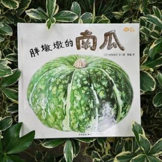 507.胖墩墩的南瓜