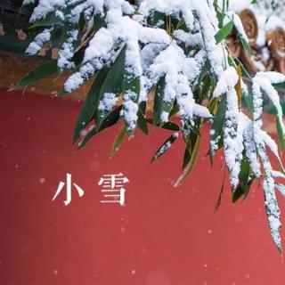 小雪，已识严冬酿雪心