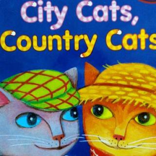 约绘袋鼠《 City cats country cats》