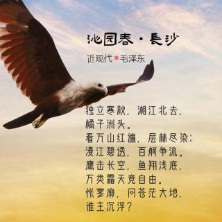 140.沁园春•长沙 毛泽东