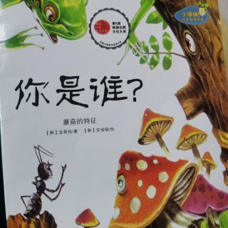 威斯里安国际早教中心平平老师《你是谁？》