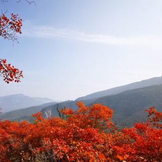 陋室铭
              唐  刘禹锡