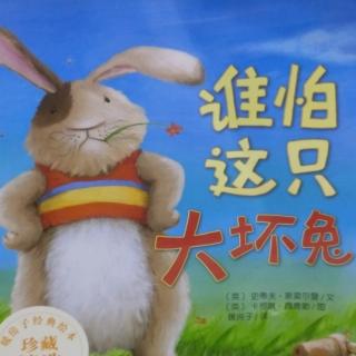 绘本故事《谁怕这只大坏兔》