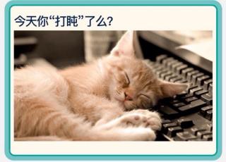 Nap😪今天你“打盹”了吗？