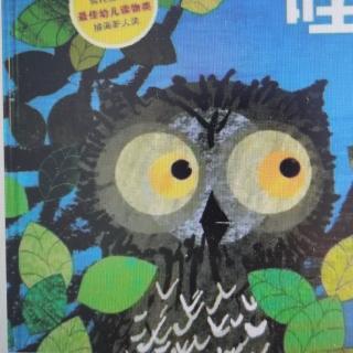 绘本故事《小猫头鹰看世界》透过猫头鹰的眼睛，感受世界之美