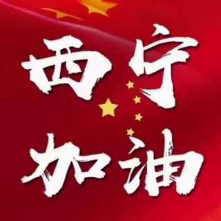 《我爱你，中国西宁》一一抗疫者之歌 作者：古明川