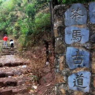 纪录片（茶马古道）解说词