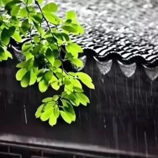 《秋雨》张爱玲