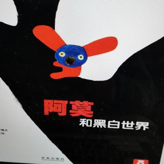 阿莫和黑白世界