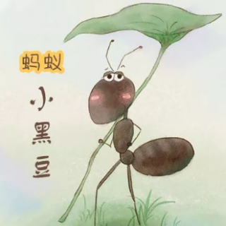 周三故事会——林子菡《蚂蚁小黑豆》