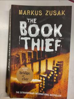THE BOOK THIEF -the eclipse