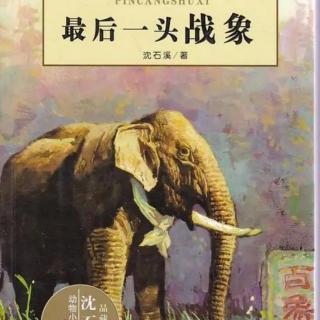 最后一头战象  象警🐘