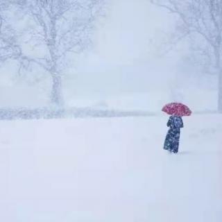 北国的雪～碑林路人