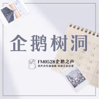 24【企鹅树洞】一箱橘子 一颗真诚的心