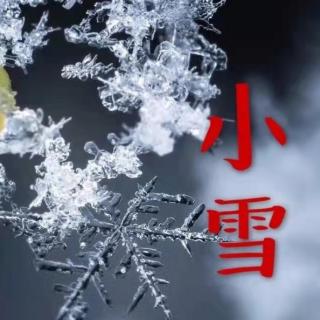 爱的阅读《时光深情，小雪相迎》