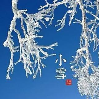 小雪，早安