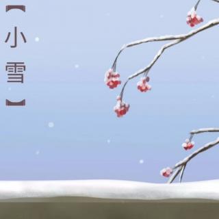 小雪-愿冬天的美好与你不期而遇