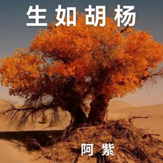 《生如胡杨》阿  紫