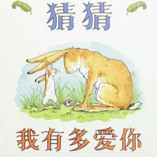 《猜猜我有多爱你》