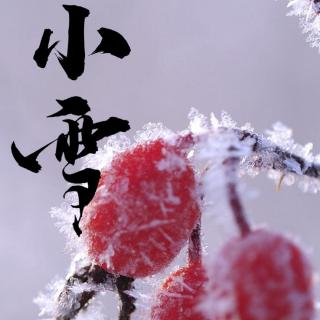《蝶恋花•小雪节里谋新赋》文 浩洋 诵 雪花飘飘