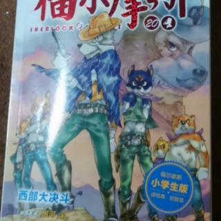 大侦探福尔摩斯20西部大决斗（9双雄大决斗）