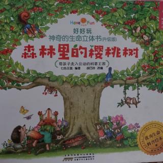Lily老师讲故事——《森林里的樱桃树》