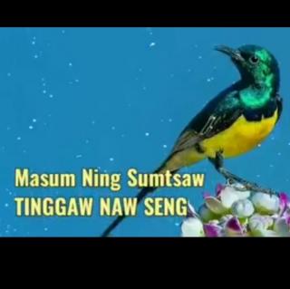 Masum ning sumtsaw Tinggaw Naw seng