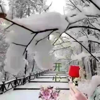 《大雪，何不来一场轰轰烈烈》