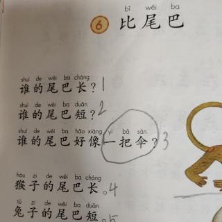 课文《比尾巴》