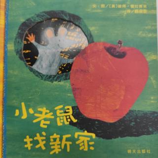 《小老鼠找新家》