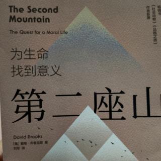 第十九章智力的承诺2