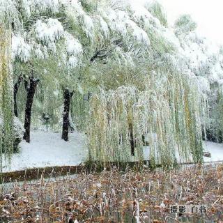 好德《雪花飘呀飘》诵读：笑颜