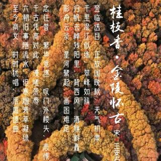 148.桂枝香•金陵怀古 王安石