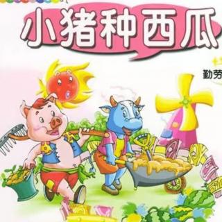 柳钢“优贝”绘本故事《小猪种西瓜》