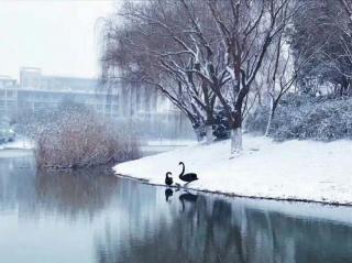 高殿文 ‖《小雪时节咏雪飞》 朗诵｜苡子