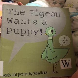 The Pigeon Wants a Puppy！