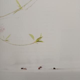 早春的蚂蚁（作者:朱赢椿）