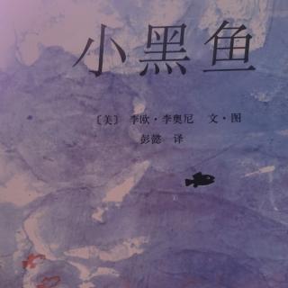 小黑鱼